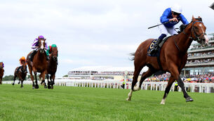 <p>Ombudsman and William Buick won the Prince Of Wales's Stakes (Group 1). Pic: Healy Racing </p>