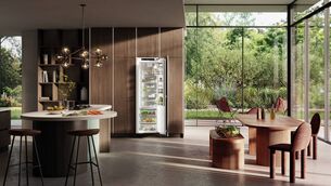 <p>The Liebherr integrated larder fridge, €2,299, at the In-House Appliance Centre in Dublin.</p>