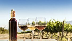 <p>It is rare for vineyards to catch fire, in fact they act as fire breaks thanks to the gaps between the vines and the lack of combustible material.</p> <p>It is rare for vineyards to catch fire, in fact they act as fire breaks thanks to the gaps between the vines and the lack of combustible material.</p>