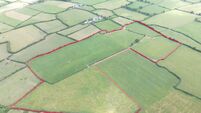 37ac Limerick farm guiding an expected €15k/acre