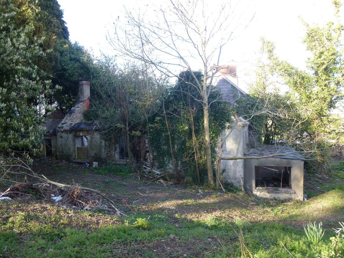The derelict period house on 106 acres at Gorey, Co. Wexford.