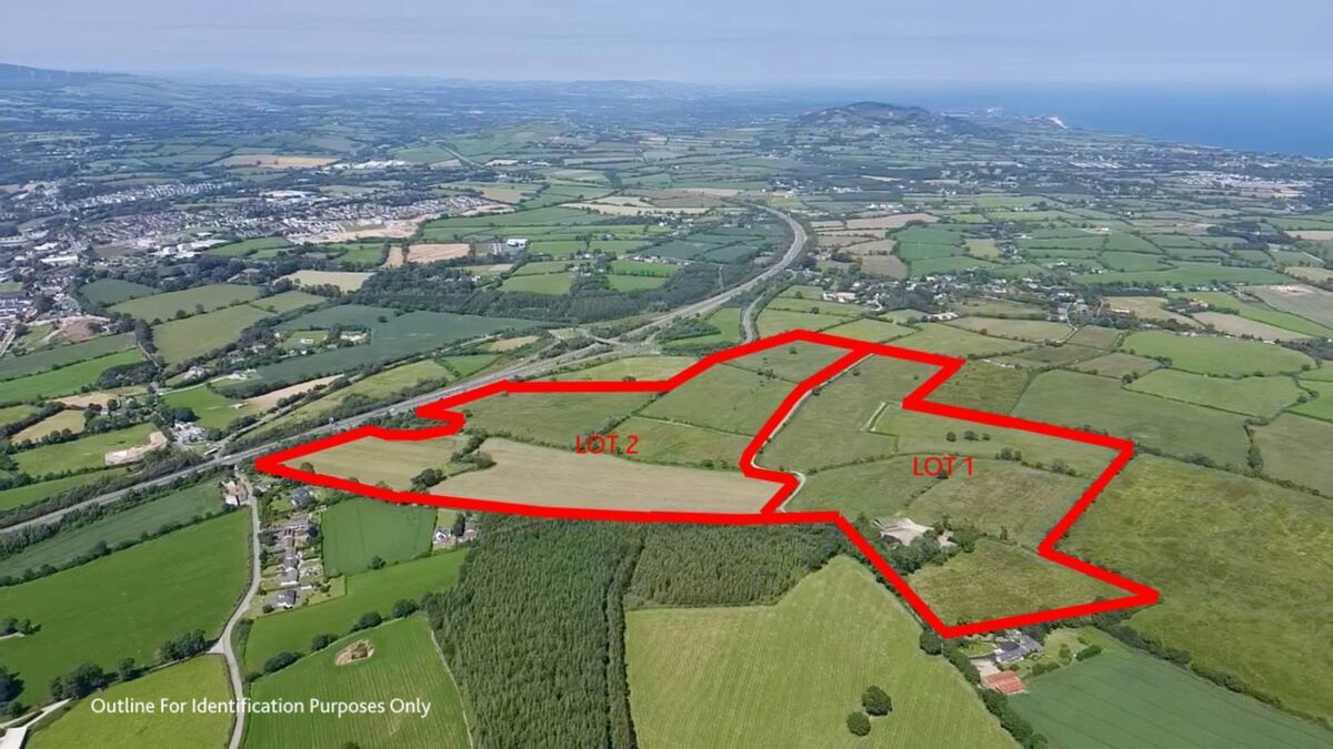 Marked aerial view of the 106-acre farm near Gorey sold at auction.