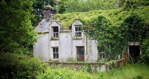 Abandoned Cottage