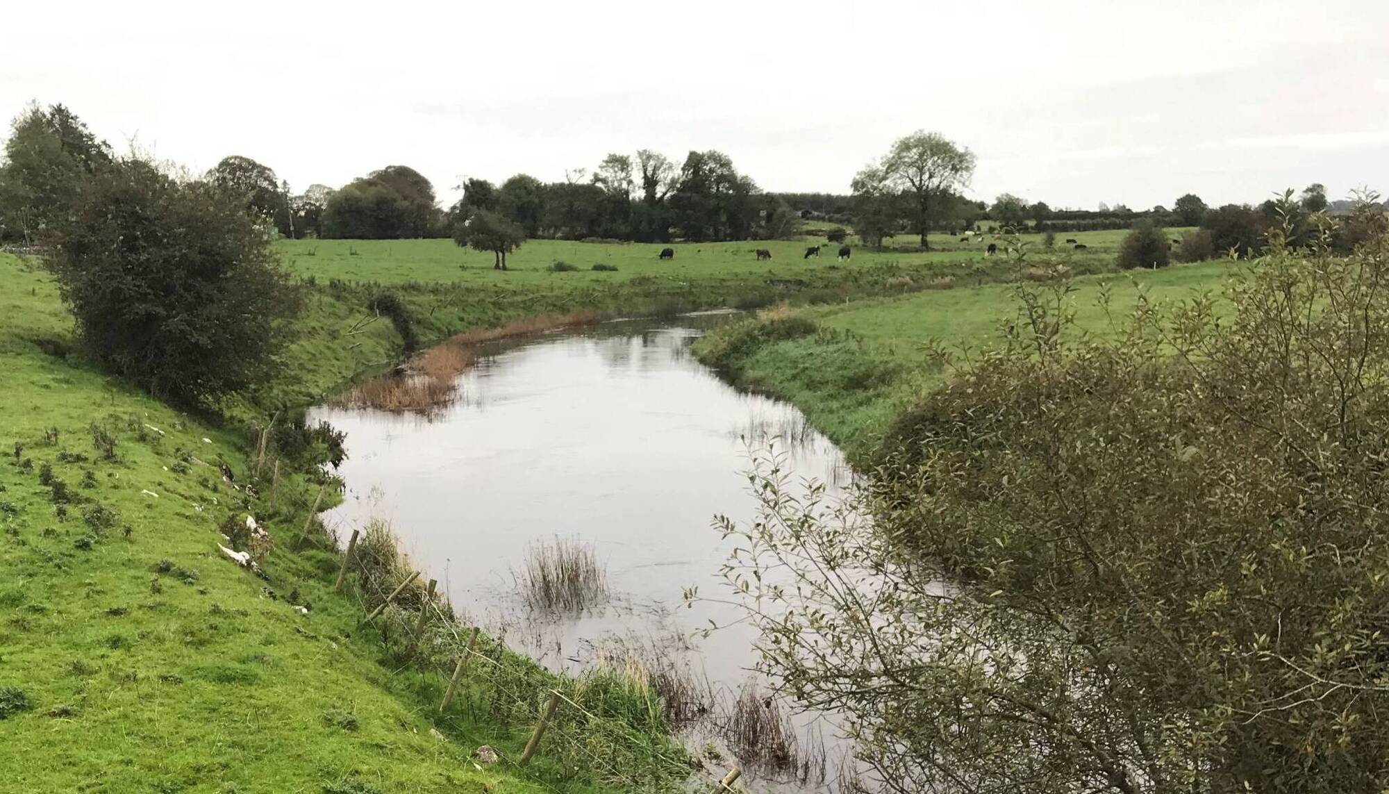 Martin Heydon to assess pressures and dangers arising from dry weather following death of Dunmanway farmer