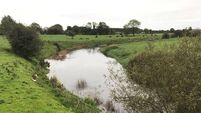 Martin Heydon to assess pressures and dangers arising from dry weather following death of Dunmanway farmer