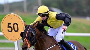<p>Fr Gilligansvoyage &amp; Paddy O'Broen win the I.P.R.S. Handicap Steeplechase at Tramore. Pic: Healy Racing</p>