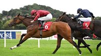 Believed repays the faith with Group 3 win at Cork