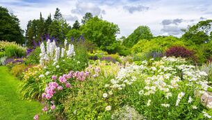 <p>An open garden in aid of Marymount Hospice takes place at the garden of Margaret Naughton  in  Donoughmore, Co Cork  on August 23.</p>