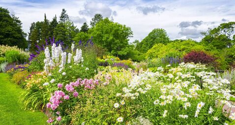 Garden Flower beds
