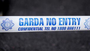 <p>Gardaí have appealed for witnesses to the collision to come forward (PA)</p> <p>Gardaí have appealed for witnesses to the collision to come forward (PA)</p>