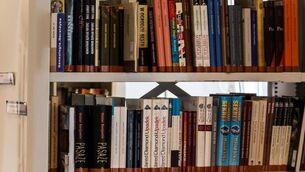 <p>Secondhand booksellers in Ireland and the UK are reporting a flurry of bulk orders from mystery buyers, amid speculation AI companies are acquiring the tomes for their data.</p>