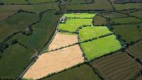 25-acre North Cork farm guiding €12k-€13k/acre