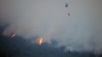 John G Dwyer: Sheep could have helped prevent Slievenamon fires