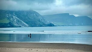 <p>Walking the dog on Keel Beach in Achill. </p>
