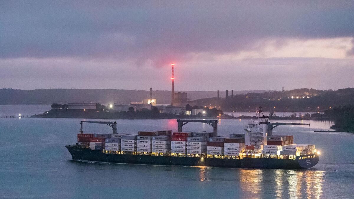 Irish exports rise in June despite EU and US declines