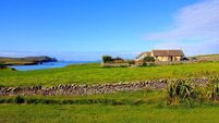 Analysis of 'Kerry Cow' bones contests claim that farming came to Ireland before 4000BCE
