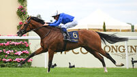 Ombudsman can see off Constitution River in York's race of the year