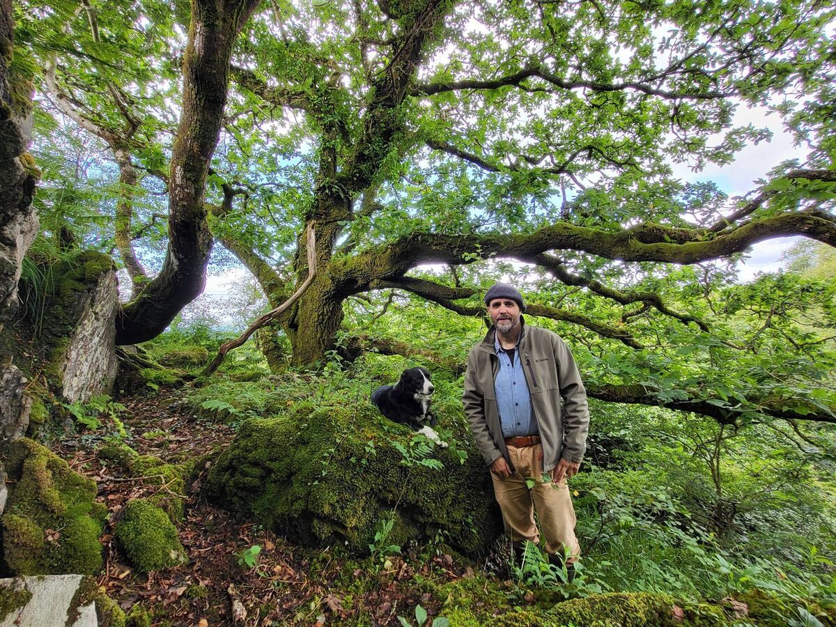 An Irish Atlantic Rainforest Sunday, RTÉ One, 6.30pm