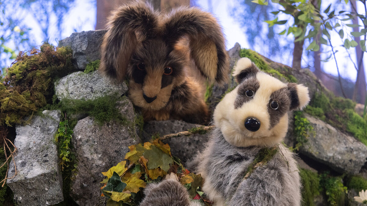 The sweet tale of Bellie and Whizz at Big School, Tuesday, RTÉ One at 10am
