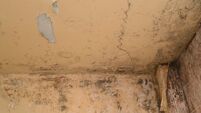 Homeless people face fire safety issues, mould and broken fittings in emergency accommodation