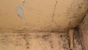 <p>In one apartment in Dublin, an inspection found 'mould in sitting room, window in sitting room hinge broken, mould in bathroom, shower head keeps falling down, freezer not working, mould on freezer'. File picture: Denis Minihane</p> <p>In one apartment in Dublin, an inspection found 'mould in sitting room, window in sitting room hinge broken, mould in bathroom, shower head keeps falling down, freezer not working, mould on freezer'. File picture: Denis Minihane</p>