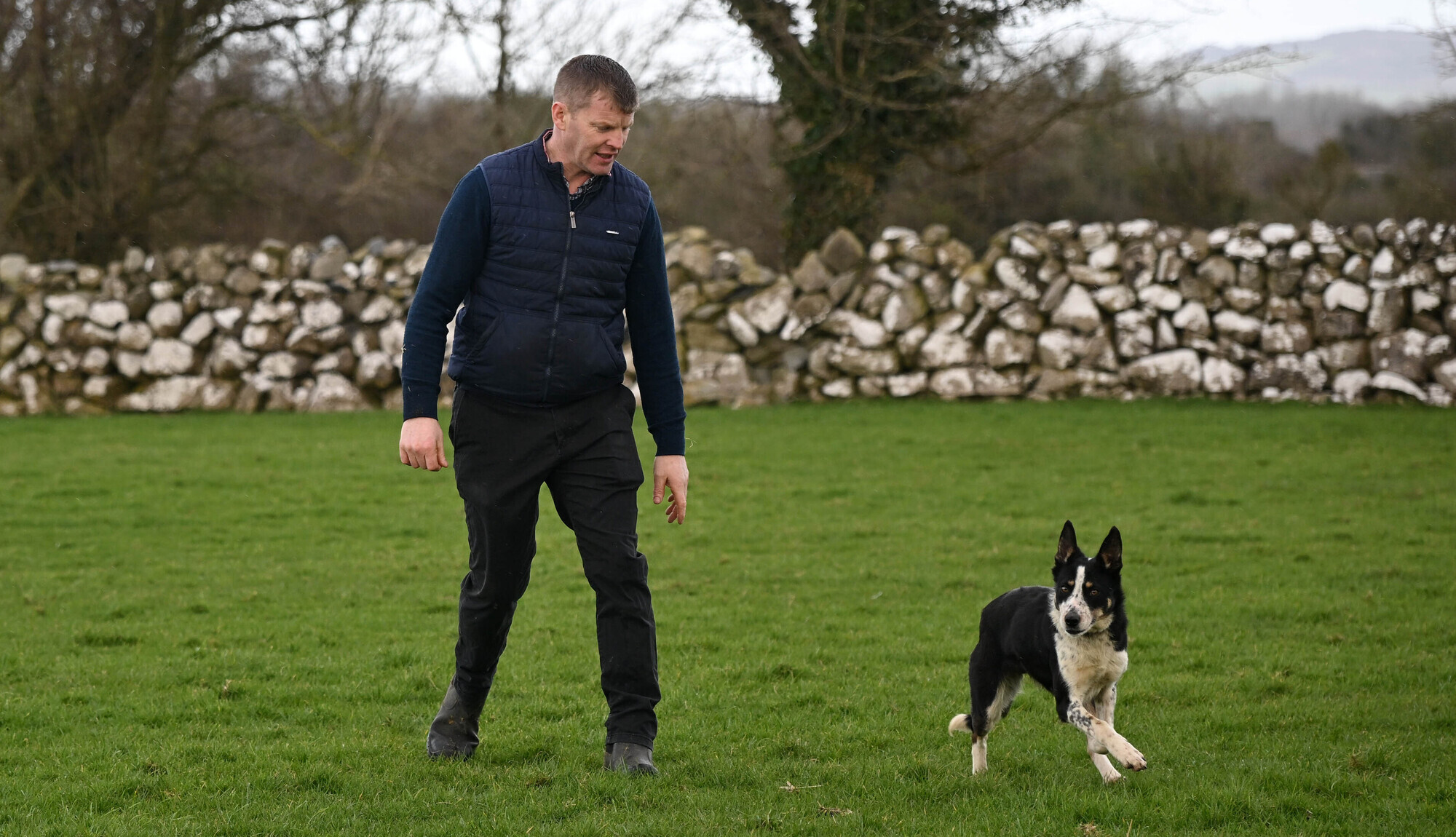 Farmer Michael Forde, Parkhouse, Annagh West, Corrandulla, Co Galway with his sheepdog Lilly. Picture: Ray Ryan