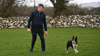Signpost: Selling lambs takes pressure off scarce grass supplies