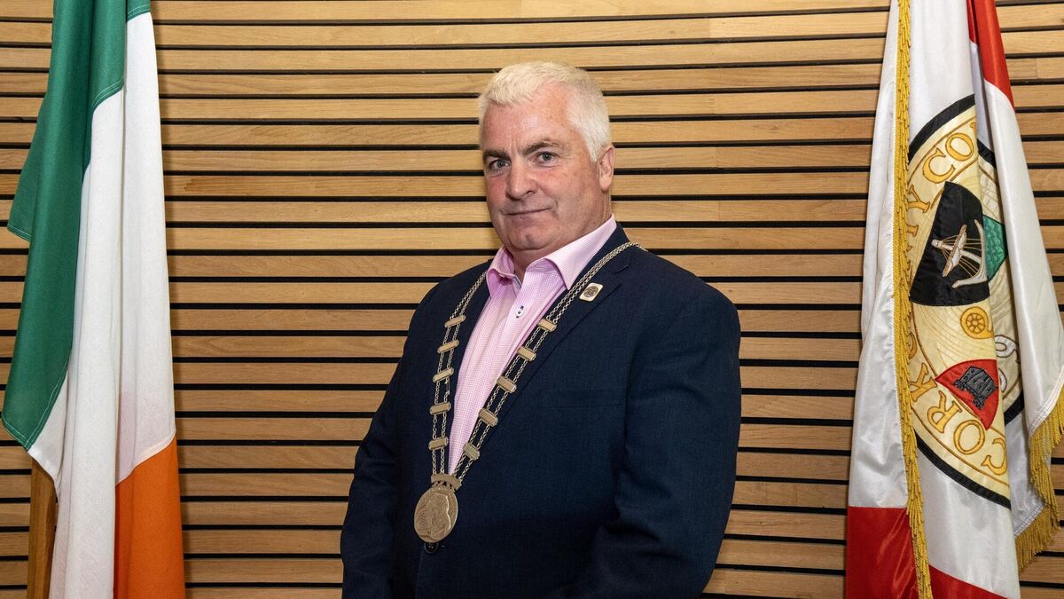 Cork deputy mayor hits out at coverage of 12-week GAA misconduct suspension