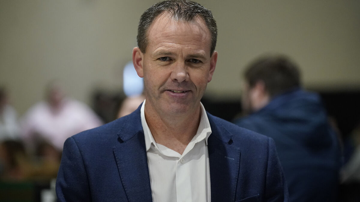 Road Safety Authority spent €43k on media training ahead of committee appearances