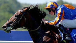 <p>UNSTOPPABLE: Constitution River and Ryan Moore win the Coral Eclipse (Group 1) for owners Coolmore and trainer Aidan O'Brien. Pic: Healy Racing</p> <p>UNSTOPPABLE: Constitution River and Ryan Moore win the Coral Eclipse (Group 1) for owners Coolmore and trainer Aidan O'Brien. Pic: Healy Racing</p>