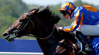 O'Brien relishing 'the acid test' as Constitution River faces Juddmonte joust 