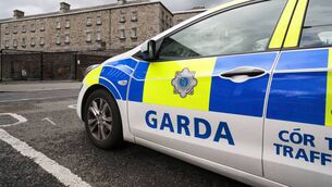 <p>Journalists working on both sides of the border said they either believed, or knew, that the PSNI and gardaí surveilled journalists.</p>