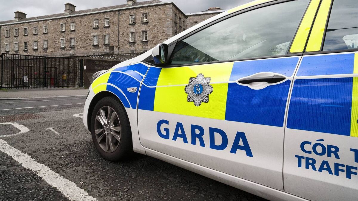 New research shows Irish journalists believe they are bugged by gardaí