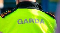 Gardaí appeal for witnesses after man, 70s, dies in Meath crash