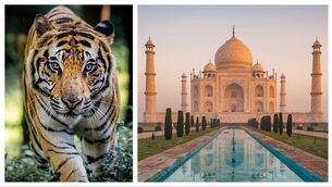 <p>India is not for everyone, though I challenge anyone remotely curious about the world to come and experience it for themselves</p>