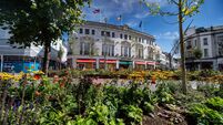  Citizenship ceremonies in Killarney hear warnings about threats to democracy