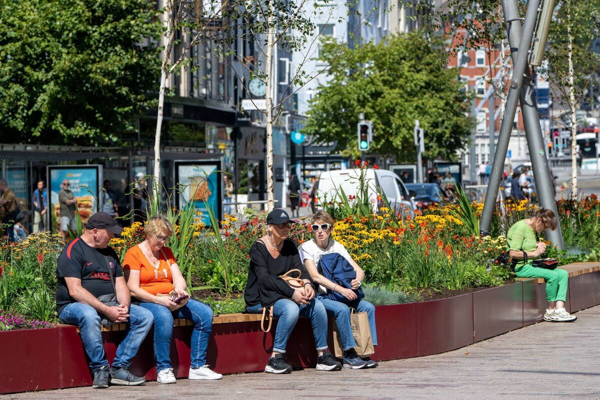 The new urban planting and green spaces along St Patrick's Street.