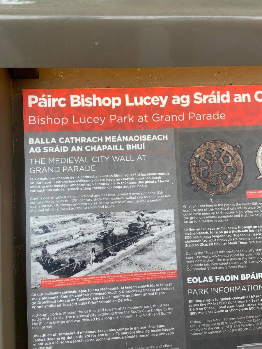 'Páirc Bishop Lucey'. Picture: Michael Moynihan 'Páirc Bishop Lucey'. Picture: Michael Moynihan