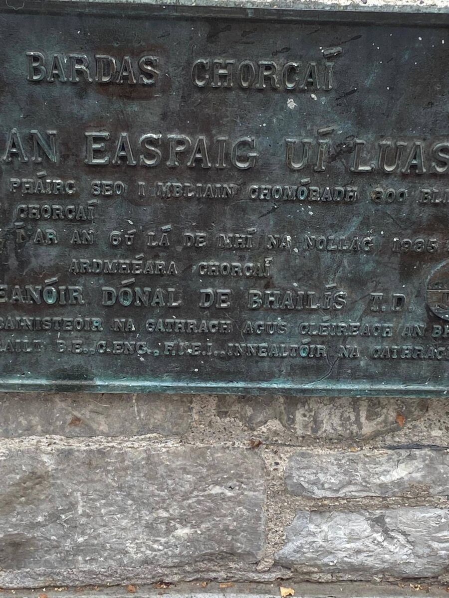 'Páirc Easpaig Uí Luasa.' Picture: Michael Moynihan 'Páirc Easpaig Uí Luasa.' Picture: Michael Moynihan