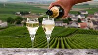 Tasting of brut and demi-sec white champagne sparkling wine from special flute glasses with Champagne vineyards on background ne