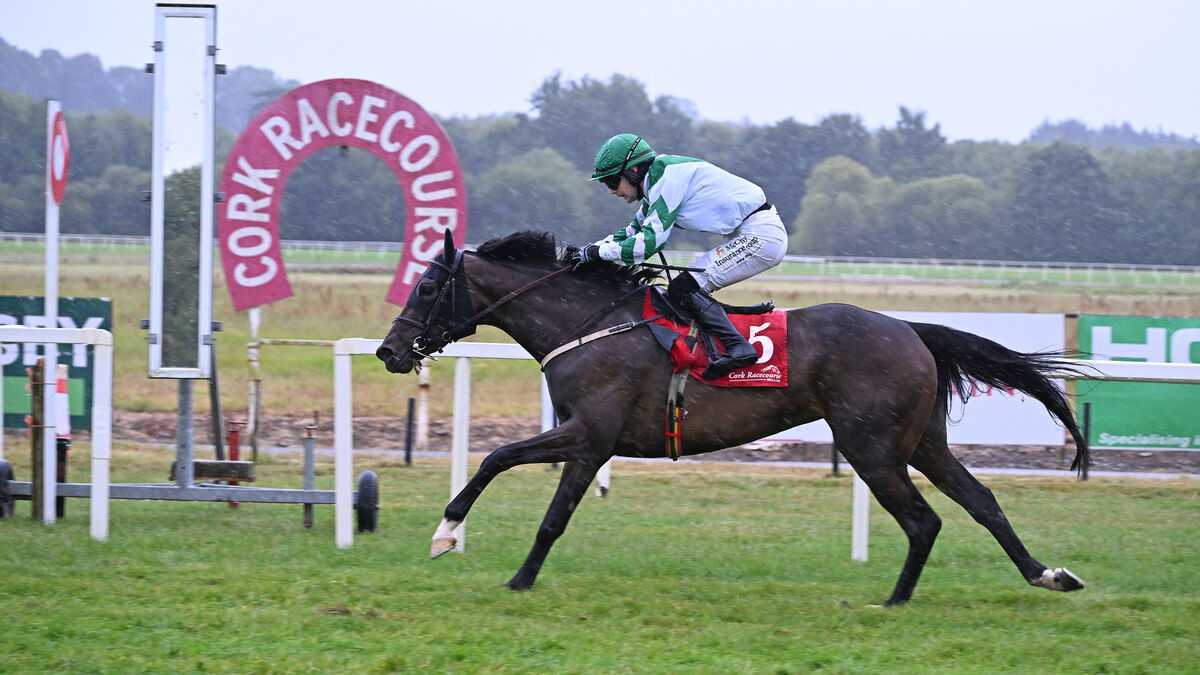 Gino Bello can complete hat-trick at Killarney