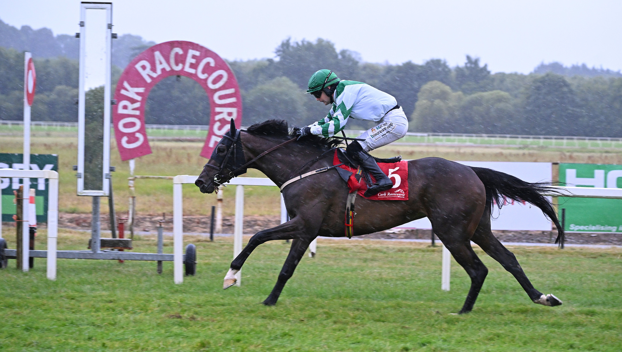  Gino Bello justified 100-30 favouritism when winning at Mallow on August 3. Pic: Healy Racing
