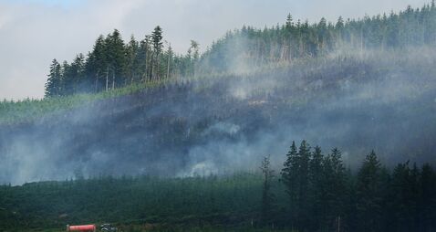 Slievenamon wildfire
