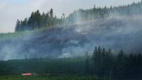 Slievenamon wildfire