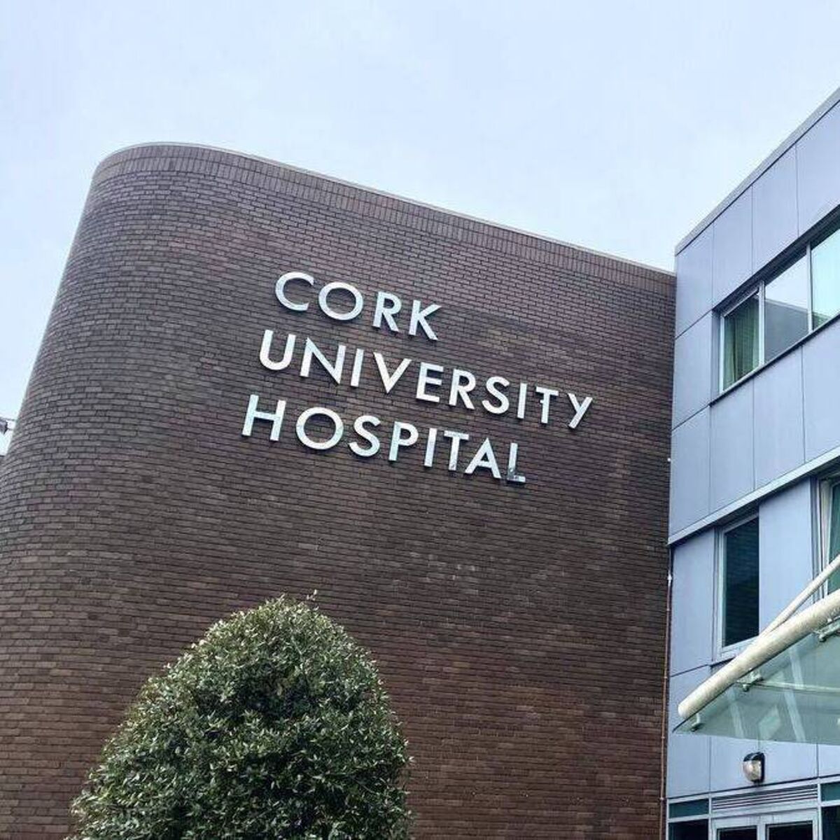 irishexaminer.com - Amy Campbell - Cork University Hospital 'unsafe' for patients, its CEO tells HSE