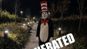 <p>One resident in a Gorey Facebook group said they were "a bit concerned" about the videos and images on social media</p>