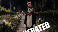 ‘Cat in the Hat’ stalking Wexford residents is AI-generated, gardaí say
