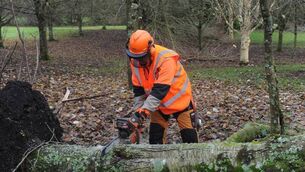 <p>Chainsaws are among the most hazardous pieces of equipment used on farms and can cause life-changing injuries or fatalities when used incorrectly.</p>