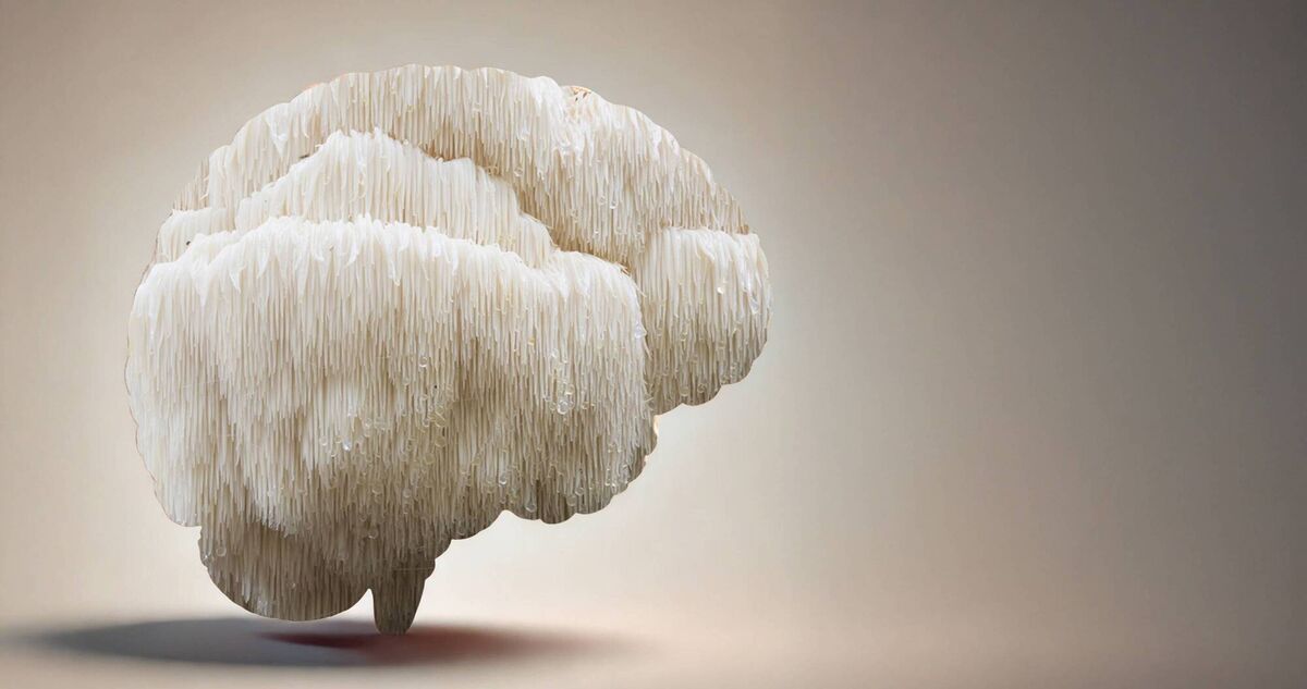 Some small studies have linked lion’s mane with a reduction in anxiety and depression, and other researchers have suggested that lion’s mane might enhance the growth of neurons in the brain Some small studies have linked lion’s mane with a reduction in anxiety and depression, and other researchers have suggested that lion’s mane might enhance the growth of neurons in the brain