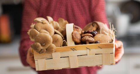 closeup on young housewife showing basket with mushrooms